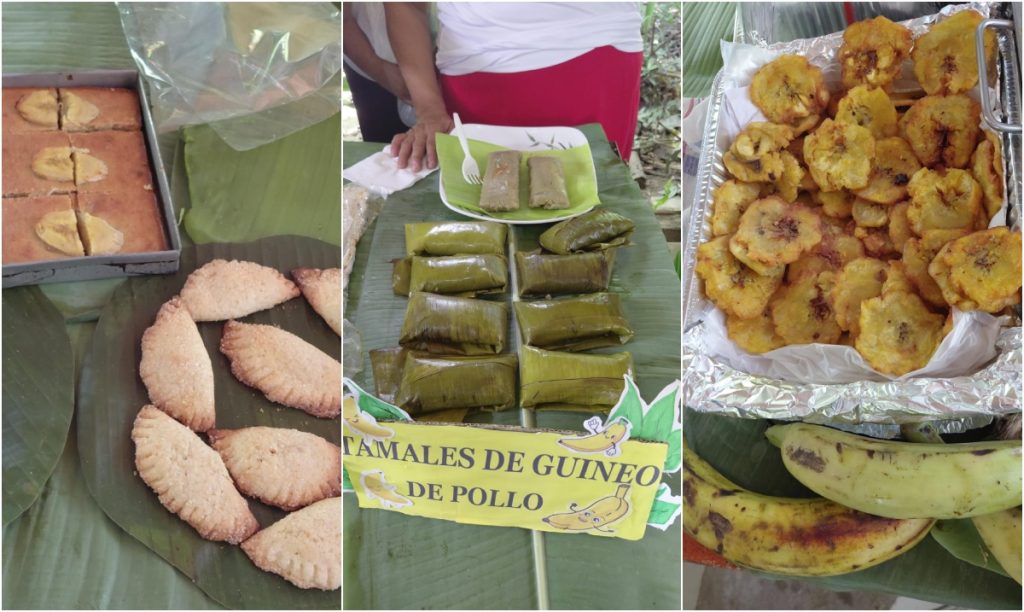 Festival del guineo/ fotos cortesía.