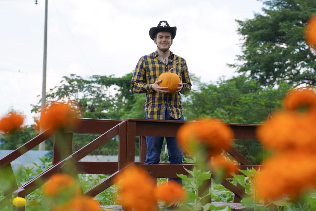 festival de-otoño